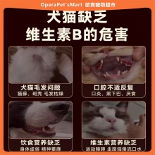 外星貓獸醫一號複合濃縮維生素B油營養貓癬掉毛美毛免疫貓犬通用